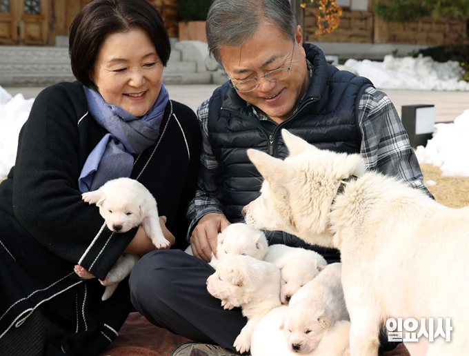 문재인 전 대통령과 김정숙 여사가 풍산개를 살피고 있다. ⓒ청와대